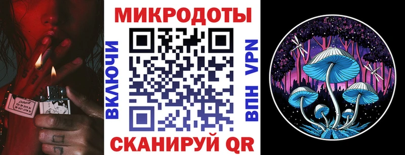 Купить где  Михайловка  Псилоцибиновые грибы MAGIC MUSHROOMS 